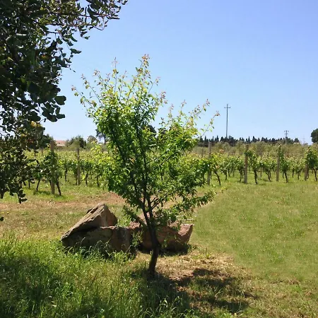 Residenza I Filari * אלגהרו